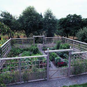 Septembre au jardin potager