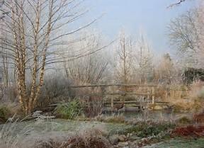 Décembre au jardin d’agrément 